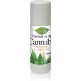 Bione Cosmetics Cannabis balsam pentru buze 11 ml