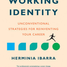 Working Identity, Updated Edition, with a New Preface: Unconventional Strategies for Reinventing Your Career