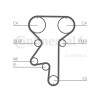 Kit distributie Contitech CT871K1, CONTINENTAL CTAM