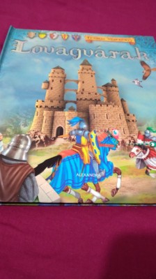 LOVAGVARAHCATONATA DE COPII 3 D /FORMAT MARE foto