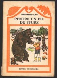 C8214 CONSTANTIN CLISU - PENTRU UN PUI DE STURZ