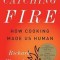 Catching Fire: How Cooking Made Us Human