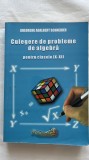 CULEGERE DE PROBLEME DE ALGEBRĂ PENTRU CLASELE IX-XII - GHEORGHE ADALBERT SCHNEIDER