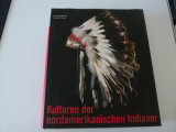 Kultura indienilor nord-americani