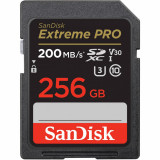 SD Card 256GB CL10 SDSDXXD-256G-GN4IN, Sandisk