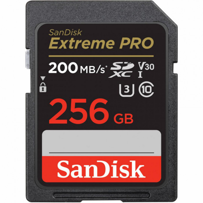 SD Card 256GB CL10 SDSDXXD-256G-GN4IN