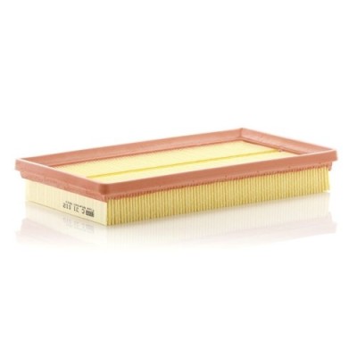 Filtru aer Mann-Filter C31012 foto