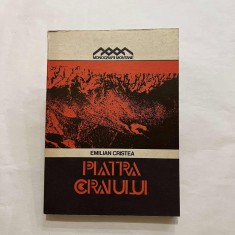 Emilian Cristea - Piatra craiului foto
