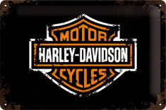 Placa metalica - Harley Davidson Paint Logo - 20x30 cm foto
