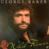 Vinil LP George Baker &ndash; Wild Flower (-VG), Pop