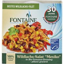 Salata Mexicana cu Somon Salbatic Bio 200gr Fontain Cod: 563927 foto