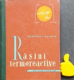 Rasini termoreactive G S Petrov A N Levin