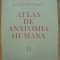 SINELNIKOV - ATLAS DE ANATOMIE UMANA (in limba SPANIOLA) - volumul 2 - 1986