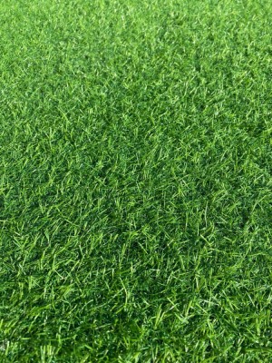 Gazon Artificial, Lungime Fir 15 mm, Latime 2m, Marime 200 x 200 cm, Verde, Imitatie Gazon Natural, Antialergic, Polipropilena, Curte, Terasa, Balcon, foto