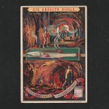 Reclama Litografie &ldquo;Der Grosste Fluss&rdquo; 1900