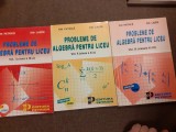 Ion Petrica PROBLEME DE ALGEBRA PENTRU LICEU 3 VOLUME