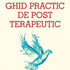 Ghid practic de post terapeutic - Francoise Wilhelmi de Toledo, Hubert Hohler