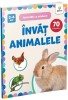 Invat Animalele - Carte Educativa Copii cu Abtibilduri, Editura Gama, Abilitati Dezvoltate, Activitati Extracurriculare