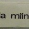 CE SE VA INTAMPLA MAINE de GHEORGHE ACHITEI ,