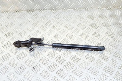 Amortizor capota dreapta față TESLA MODEL 3 2020 OEM: 1091472-00-B 12561053 foto