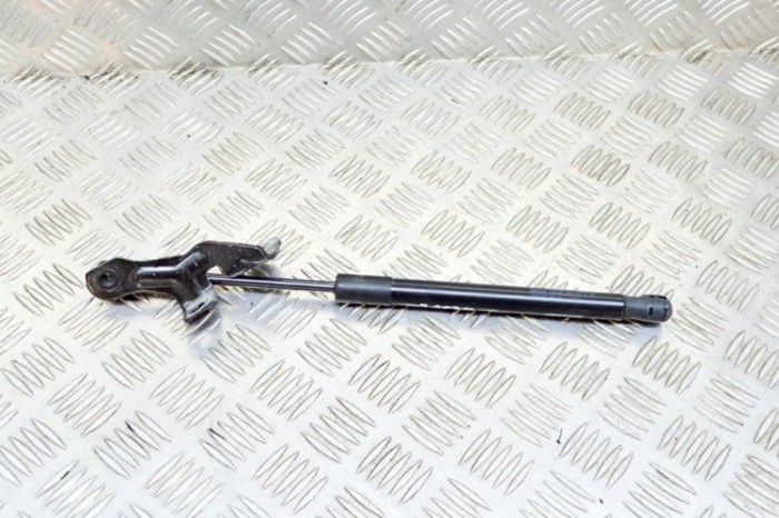 Amortizor capota dreapta față TESLA MODEL 3 2020 OEM: 1091472-00-B 12561053