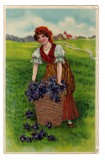 FELICITARE DOMNISOARA CU COS DE FLORI OLANDA