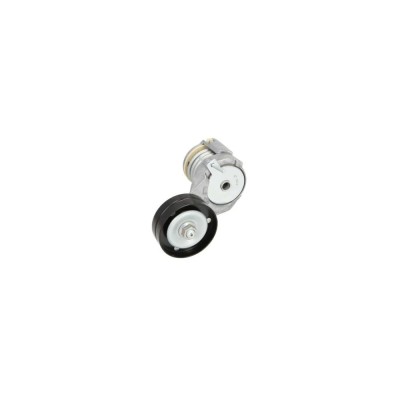 Intinzator curea VW CADDY II combi 9K9B DAYCO APV2320 foto