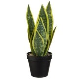 Ghiveci decorativ negru cu plantă artificială sansevieria, &Oslash;12.5x37cm, CMCLASS