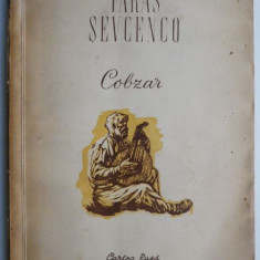 Cobzar – Taras Sevcenco