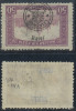 Oradea 1919 eroare Parlament 50 Bani sursarj ranversat atest Szegedi L. MNH, Nestampilat