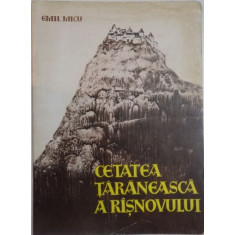 Emil Micu - Cetatea Taraneasca a Risnovului