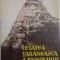 Emil Micu - Cetatea Taraneasca a Risnovului