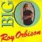 Vinil Roy Orbison &ndash; Big O (-VG)