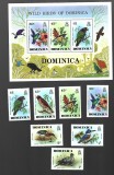 dominica pasari mnh