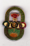 Bnk ins Insigna Olimpiada 1988 Seul - Sectia numismatica a CCA, Romania de la 1950