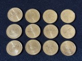 Turcia 2021 &ndash; Set complet de 12 monede de 1 Kurush , Fauna - Păsări