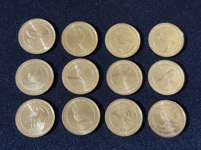 Turcia 2021 &ndash; Set complet de 12 monede de 1 Kurush , Fauna - Păsări