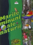 Marile minuni ale naturii - Litera