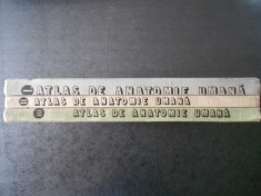 MIRCEA IFRIM - ATLAS DE ANATOMIE UMANA 3 volume (1983-1985, editie cartonata)