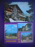 HOPCT LOT 4193 - 2 CARTI POSTALE-PALTINIS -JUD SIBIU-CIRCULATE, Circulata, Printata