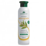 Șampon seboreglator cu sălcie și complex de vitamine B, 250 ml, Cosmetic Plant