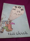 Cumpara ieftin ZBOR CU MOTOR-VLAD NICODIN 1981, Alta editura