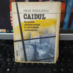 Mihai Rădulescu, Caidul. Nuvelele adolescenței în temnițele comuniste, 1992, 003