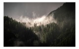 Tablou Canvas, "Misterul pădurii &icirc;nvăluită &icirc;n ceață", Ceață, Pădure, Munți, Mister, Lumină, Umbre, Verde, Natură, Tranquilitate, 39 x 26 cm, CMCLASS