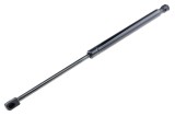 Amortizor portbagaj , L=455mm, F=700n, Ford Focus, 2002-2004, NTY AE-FR-040