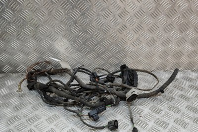 Cablaj ușă st&amp;acirc;nga față MERCEDES-BENZ VITO Furgon W447 2015 OEM: A4474404605 27503572 foto