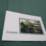 Cumpara ieftin INVITATIE BIBLIOTECA JUDETEANA DEVA