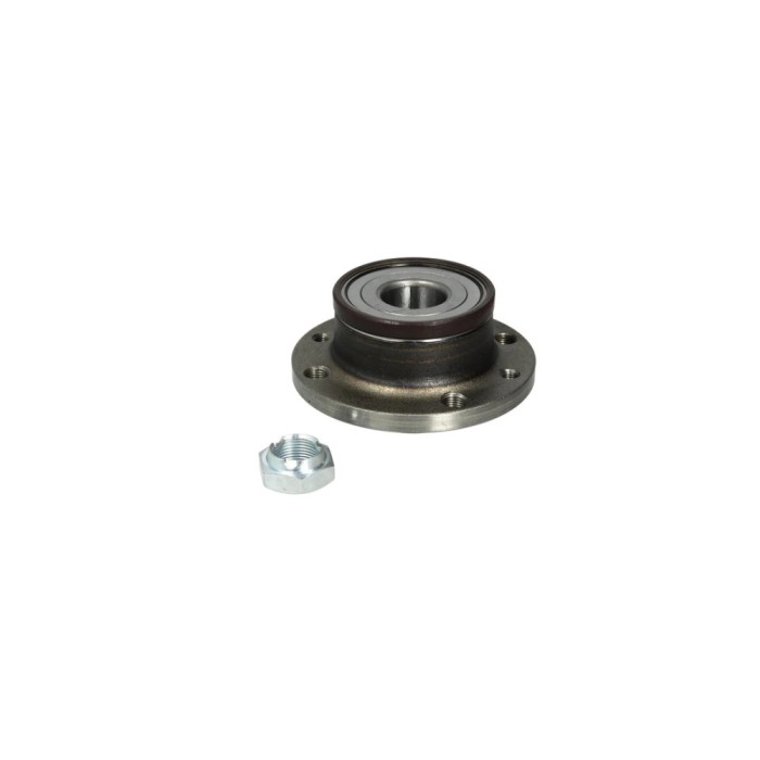 Set rulment roata FIAT DOBLO Cargo 223 BTA H2F012BTA