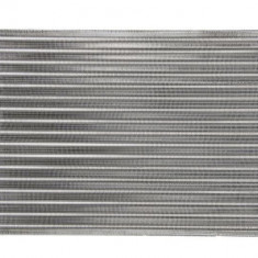 Radiator, racire motor SEAT CORDOBA Vario (6K5) (1996 - 1999) THERMOTEC D7W015TT