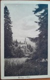 Carte postala, Castelul Peles, 1924